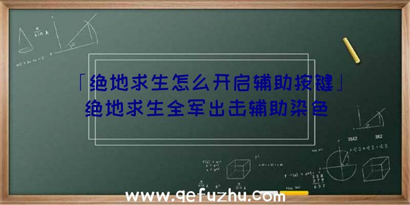 「绝地求生怎么开启辅助按键」|绝地求生全军出击辅助染色